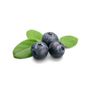 Arandano 250g.