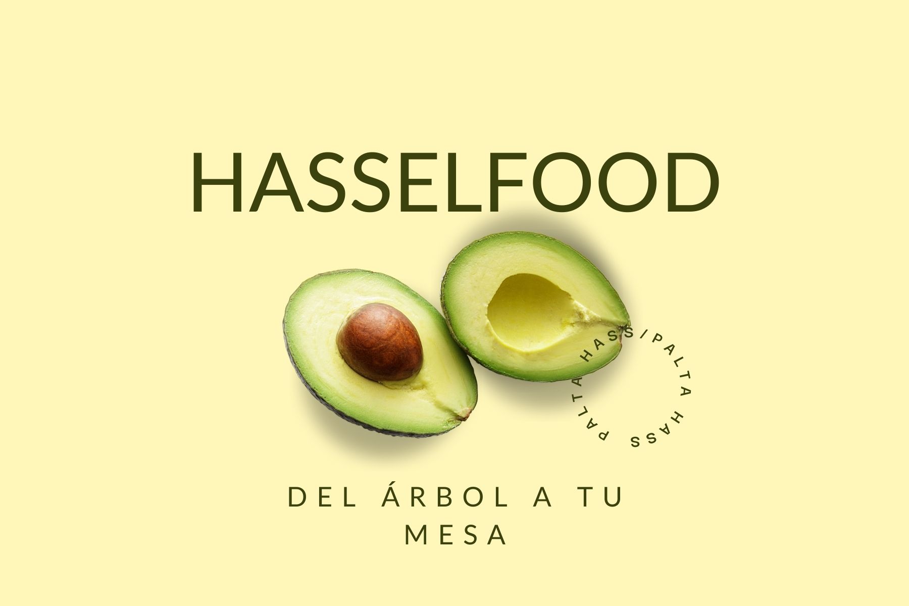 Palta Malla 2 Kg. - Imagen 3